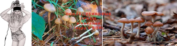 соль курить ск Абдулино