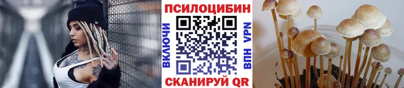 мориарти формула  Кяхта  Псилоцибиновые грибы Psilocybine cubensis 
